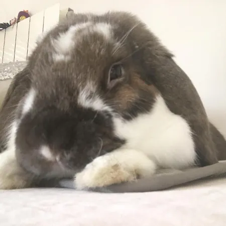 Lejlighed Particular,bano Compartido