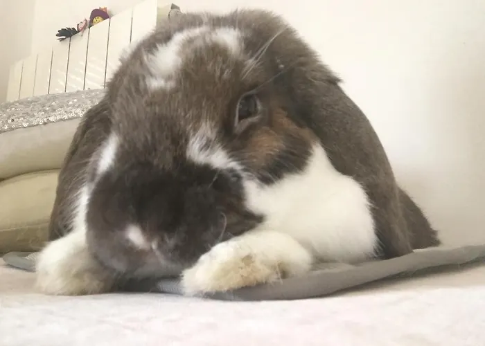 Lejlighed Particular,bano Compartido